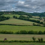 haie paysage normand