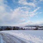 Route des terres rouges-22/10/24-Odile