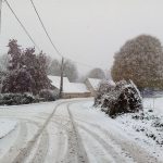 Route des terres rouges-21/10/24-Odile