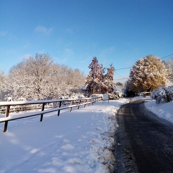 Chemin des grilles -22/10/24-Odile