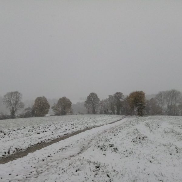 Chemin des châtelets-21/10/24-Odile