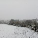 Route des terres rouges-21/10/24-Odile